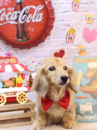 20230915バナナちゃん